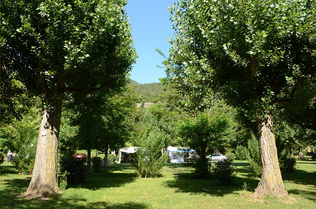 Mig selv golf miljø Camping Le Pont - Gorges du Tarn, Millau, Aveyron